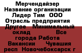 Мерчендайзер › Название организации ­ Лидер Тим, ООО › Отрасль предприятия ­ Другое › Минимальный оклад ­ 20 000 - Все города Работа » Вакансии   . Чувашия респ.,Новочебоксарск г.